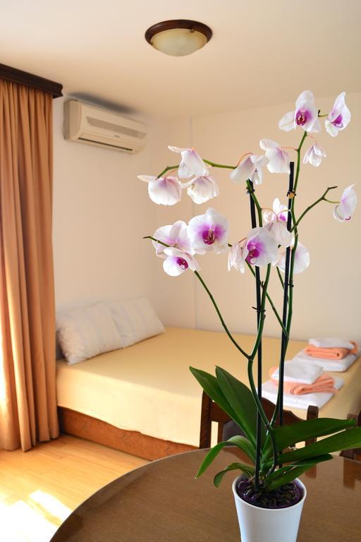 Apartment Matea Petrovac na moru Exterior foto